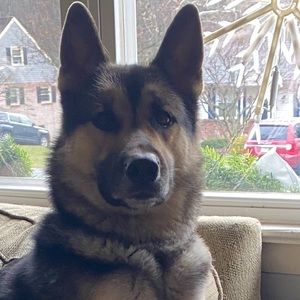 Meet your Posher, Kris